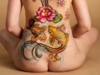 Tato 18